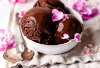 Deliciously Simple Vegan Chocolate Ice Cream Coconut and Nut Free