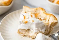 Heavenly Vegan Gluten Free Coconut Cream Pie
