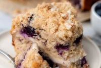 Zesty Lemon Blueberry Vegan Coffee Cake with Velvety Swirl