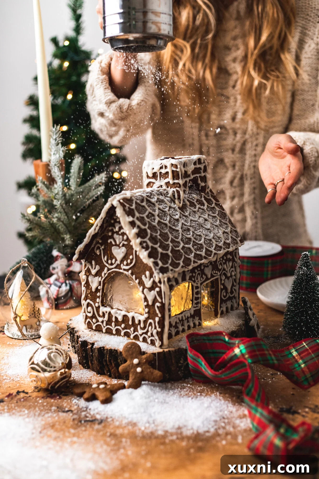 Amazing Vegan Gingerbread House, perfectly constructed and decorated for the holidays