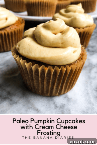 Healthy Fall Cupcakes Recipe