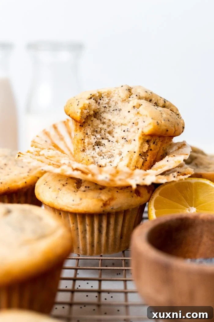 baked vegan lemon poppy seed muffins stacked