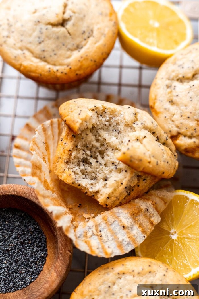 bitten vegan lemon poppy seed muffin