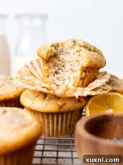 baked vegan lemon poppy seed muffins stacked