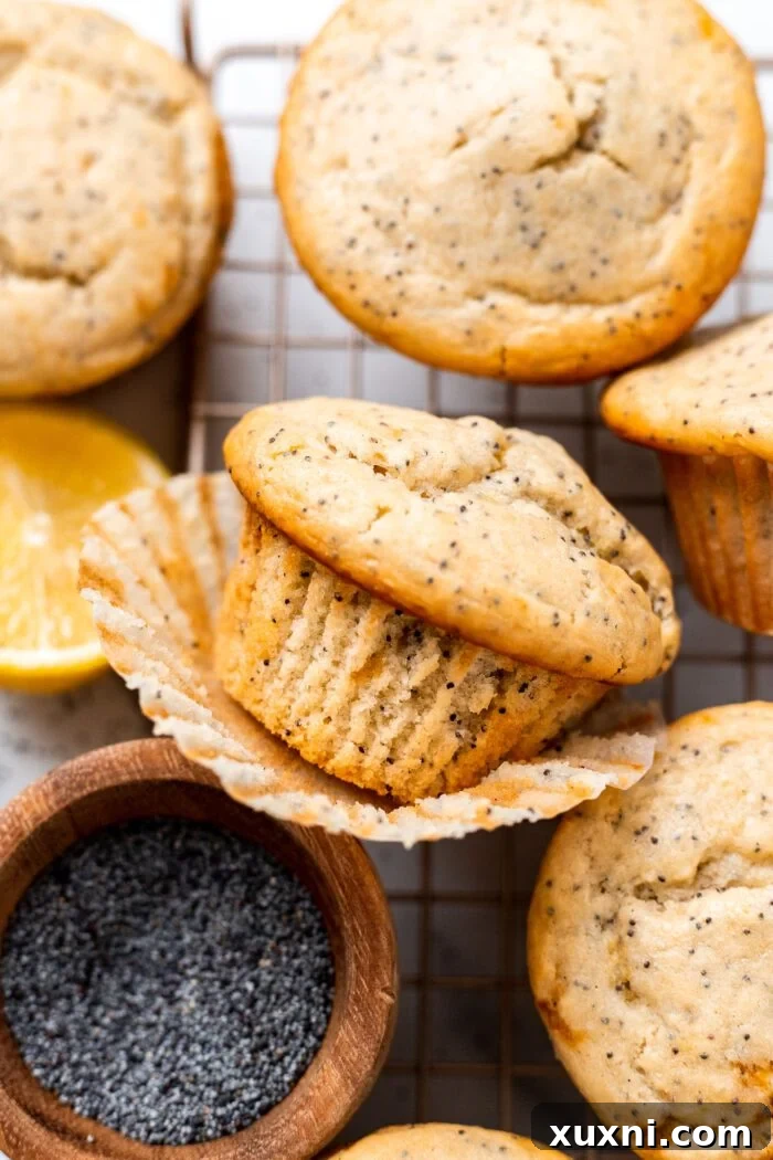 vegan lemon poppy seed muffin with liner pulled off