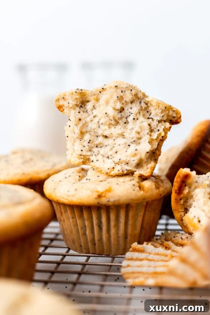 vegan lemon poppy seed muffin stacked on top of each other