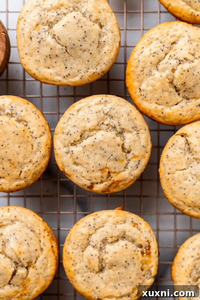 baked vegan lemon poppy seed muffins
