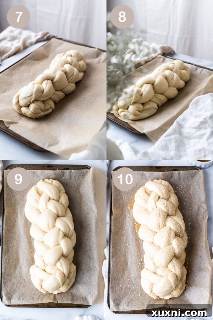 vegan challah bread proofing on a baking sheet