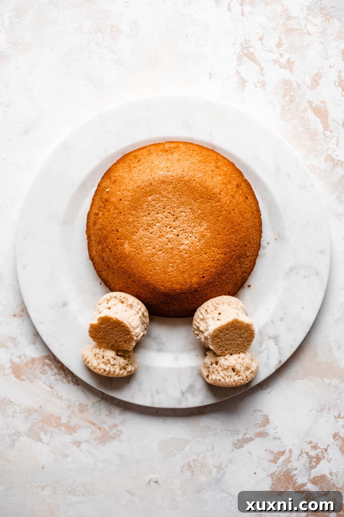 Vegan bunny butt cake with the feet added, using sliced cupcakes for a realistic look