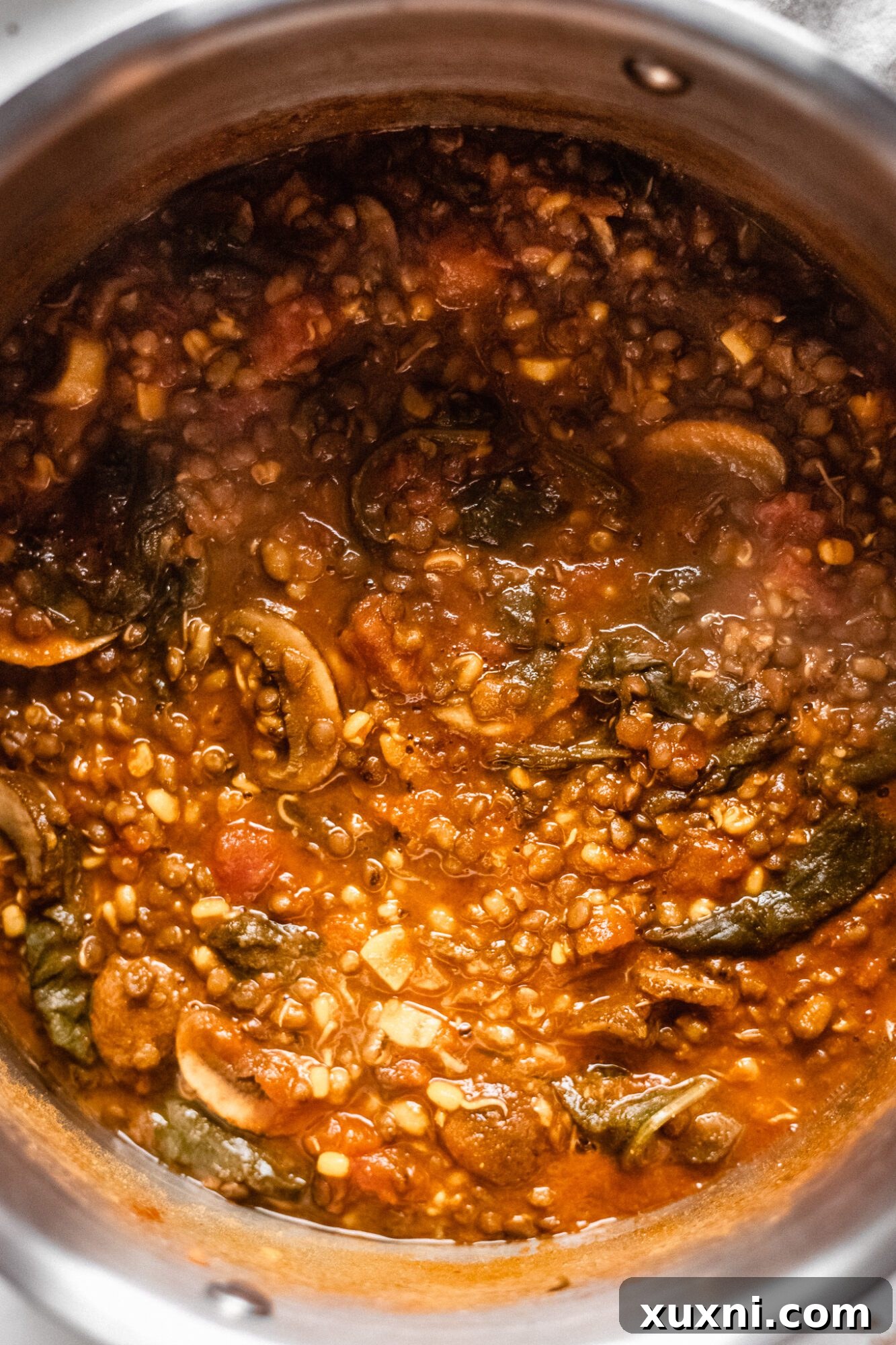 A close-up shot of vegan lentil soup simmering in a large pot, showing the rich texture.