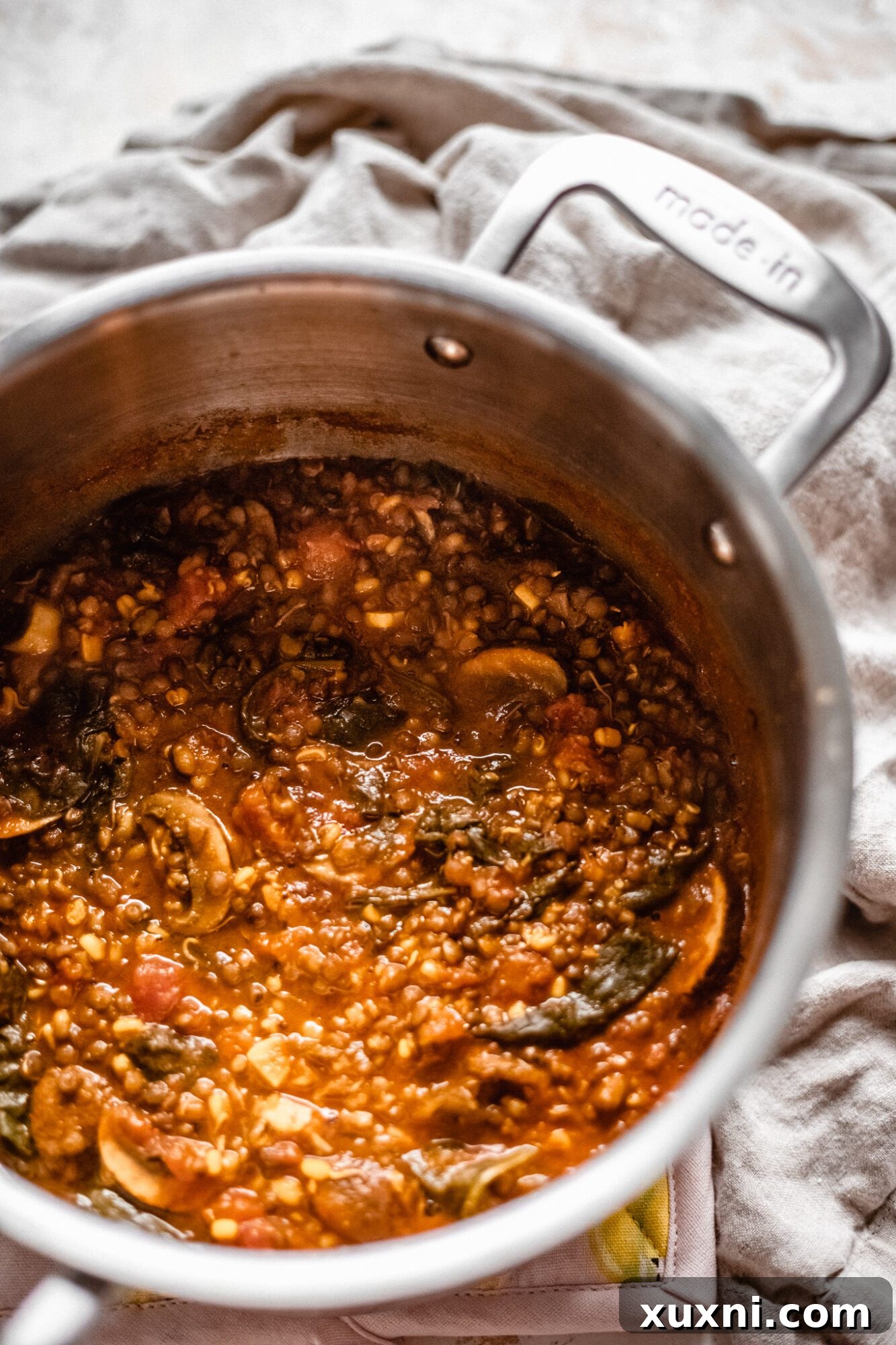A large pot filled with freshly made vegan lentil soup, ready for serving.
