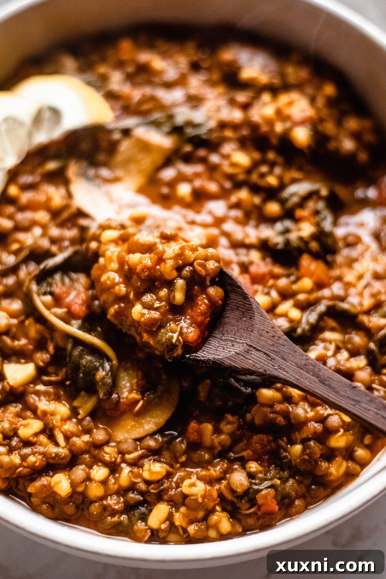 A spoon scooping a generous portion of thick, flavorful vegan lentil soup.