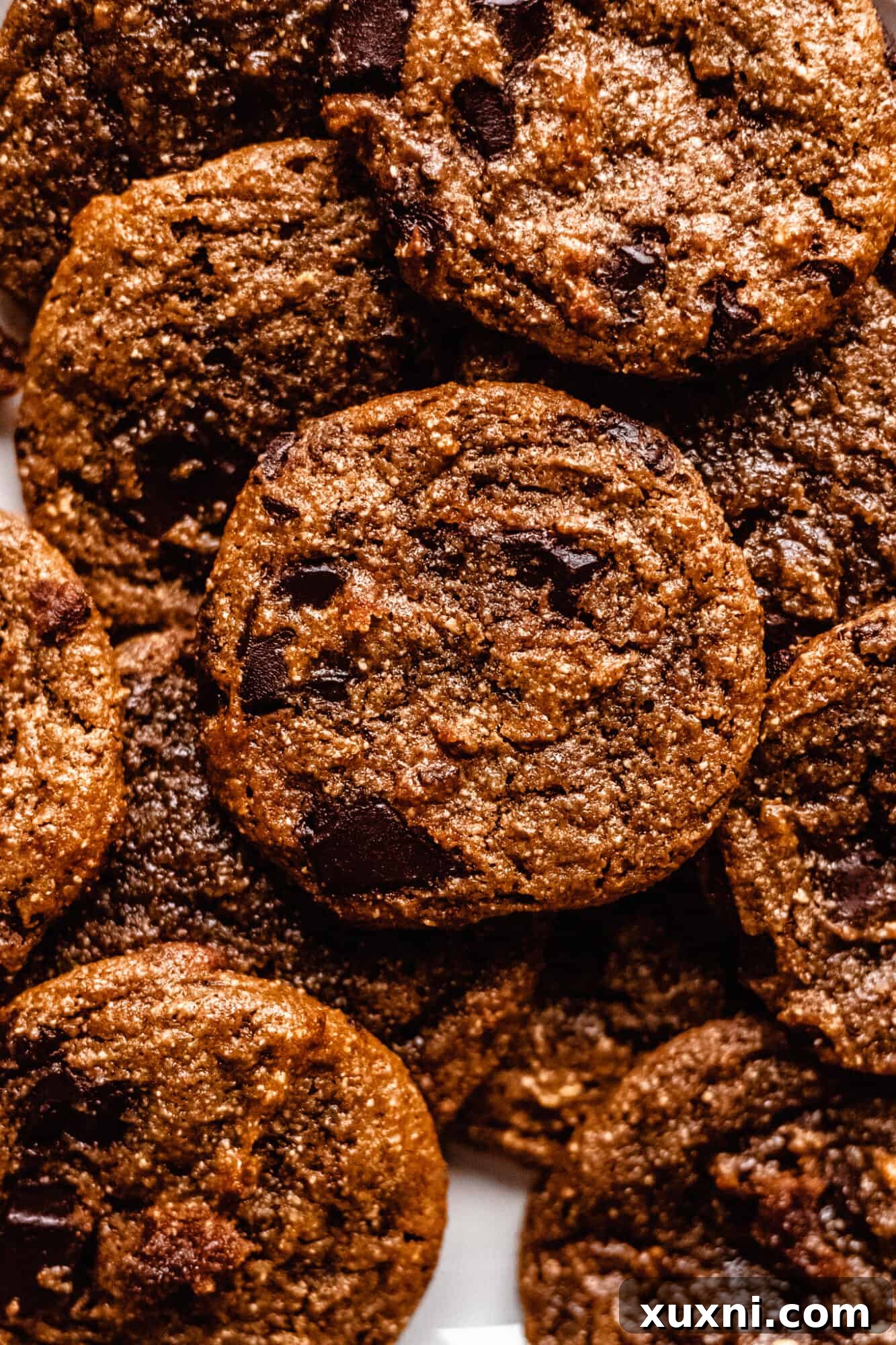 close up of flourless peanut butter chocolate chip cookies