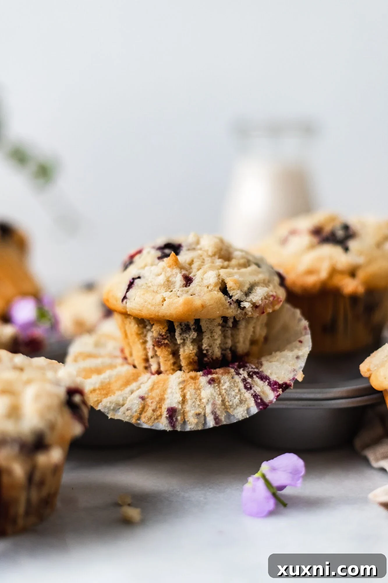 A single perfectly baked vegan blueberry muffin with a golden crumble topping, fresh out of the oven.