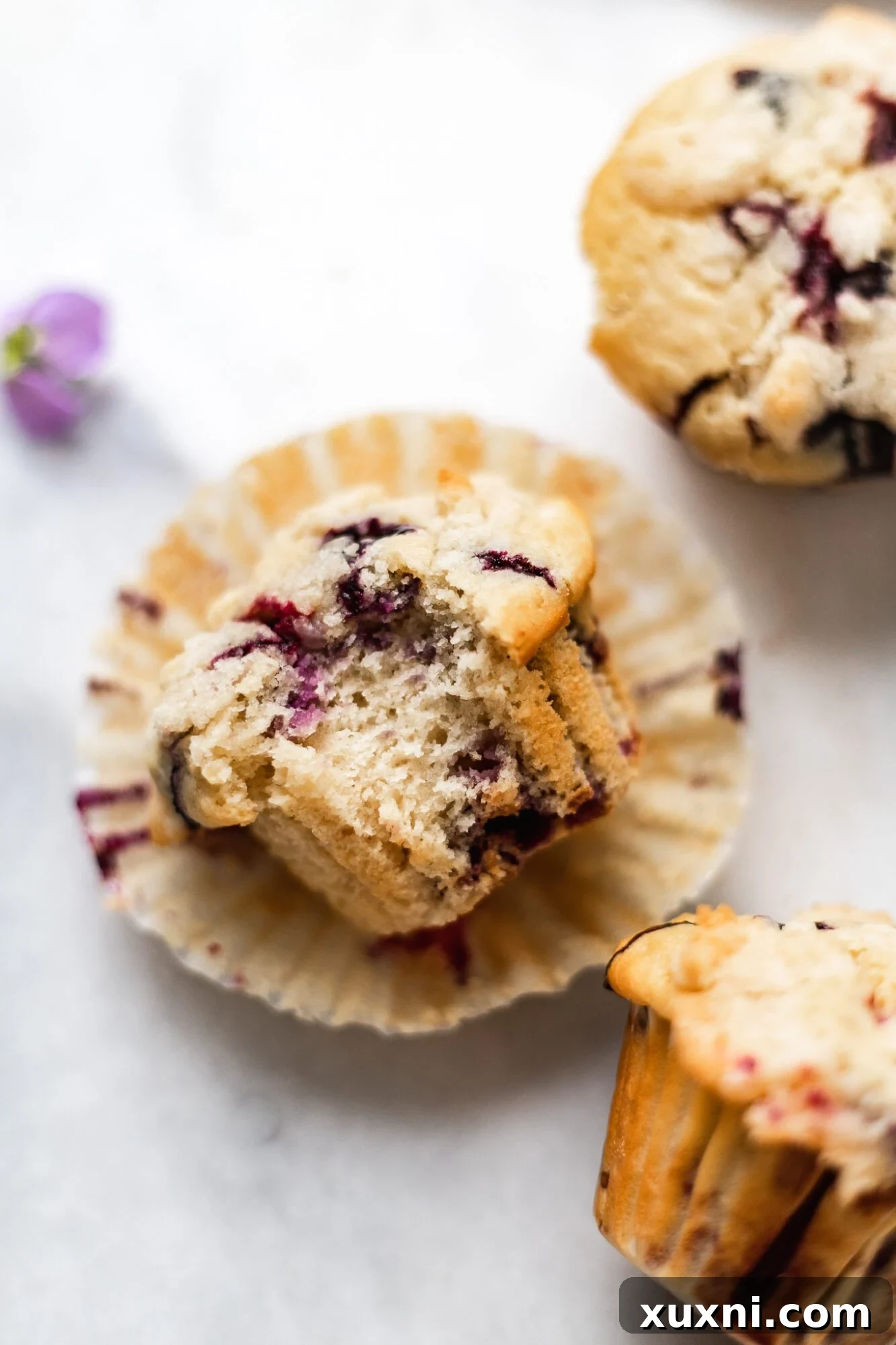 A bitten vegan blueberry muffin, showing the moist interior filled with blueberries.
