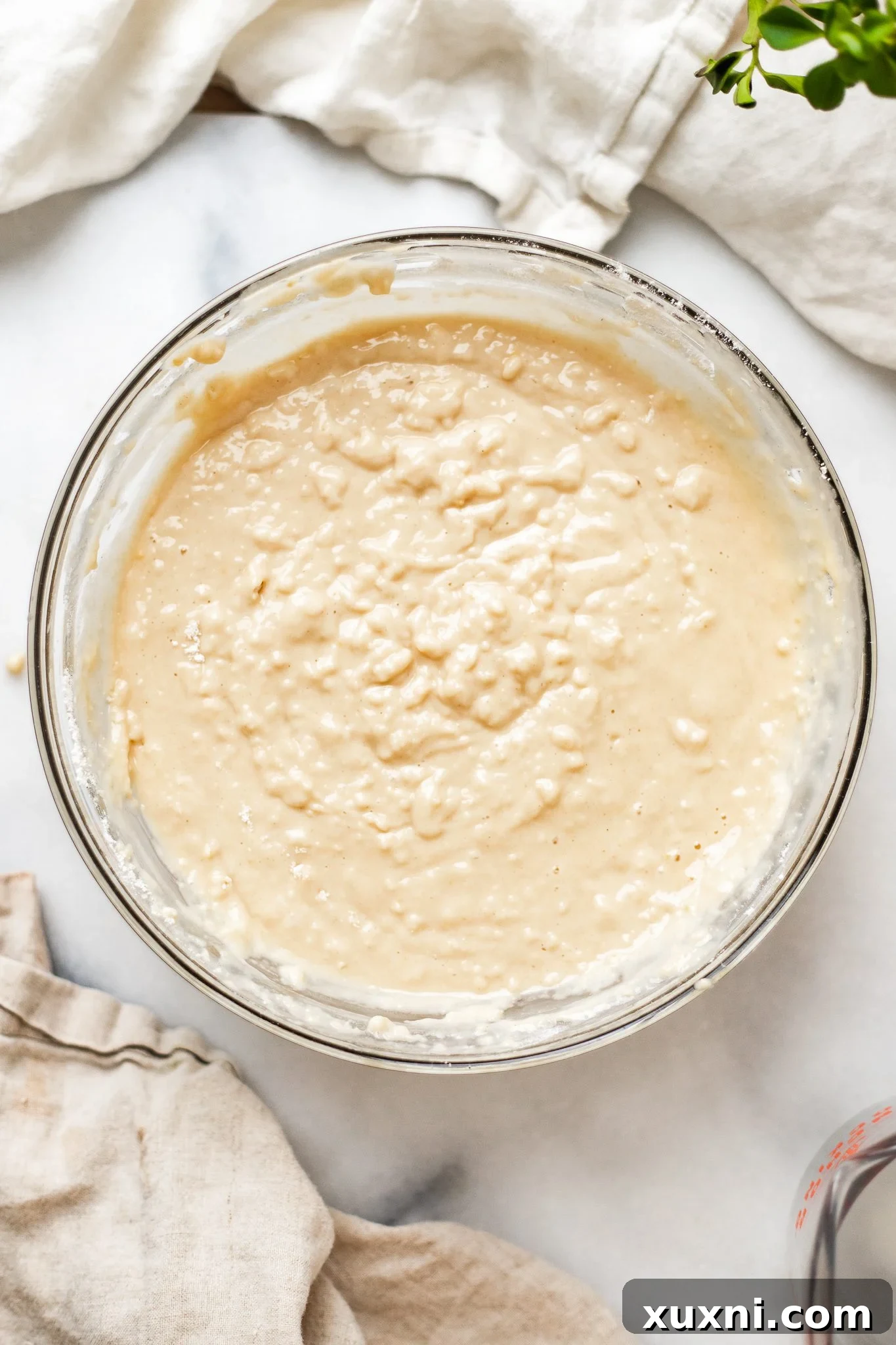 Combining dry and wet ingredients with dairy-free milk for vegan blueberry muffin batter.