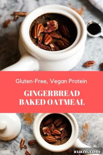 Single-serving Gingerbread Baked Oatmeal that's filled with plant-based protein for a filling and festive breakfast! These oats are perfectly spicy and sweetened with natural sugars.
