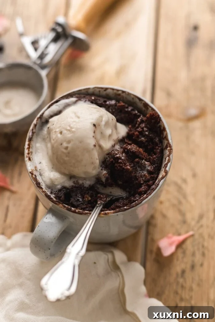 Magical Vegan Chocolate Mug Cake Gluten Free Oil Free Bliss 11 A rich vegan chocolate mug cake topped with a generous scoop of vegan ice cream and a spoon digging in.