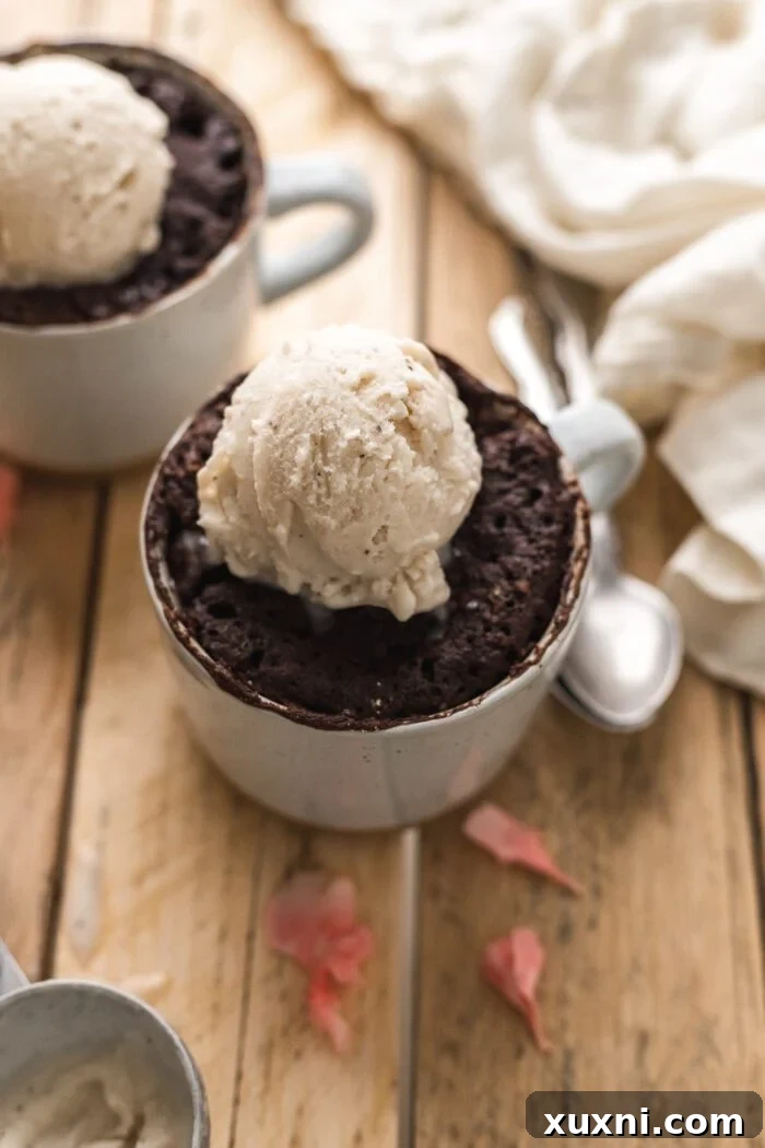 Magical Vegan Chocolate Mug Cake Gluten Free Oil Free Bliss 3 Two delightful vegan chocolate mug cakes topped with scoops of vanilla vegan ice cream.