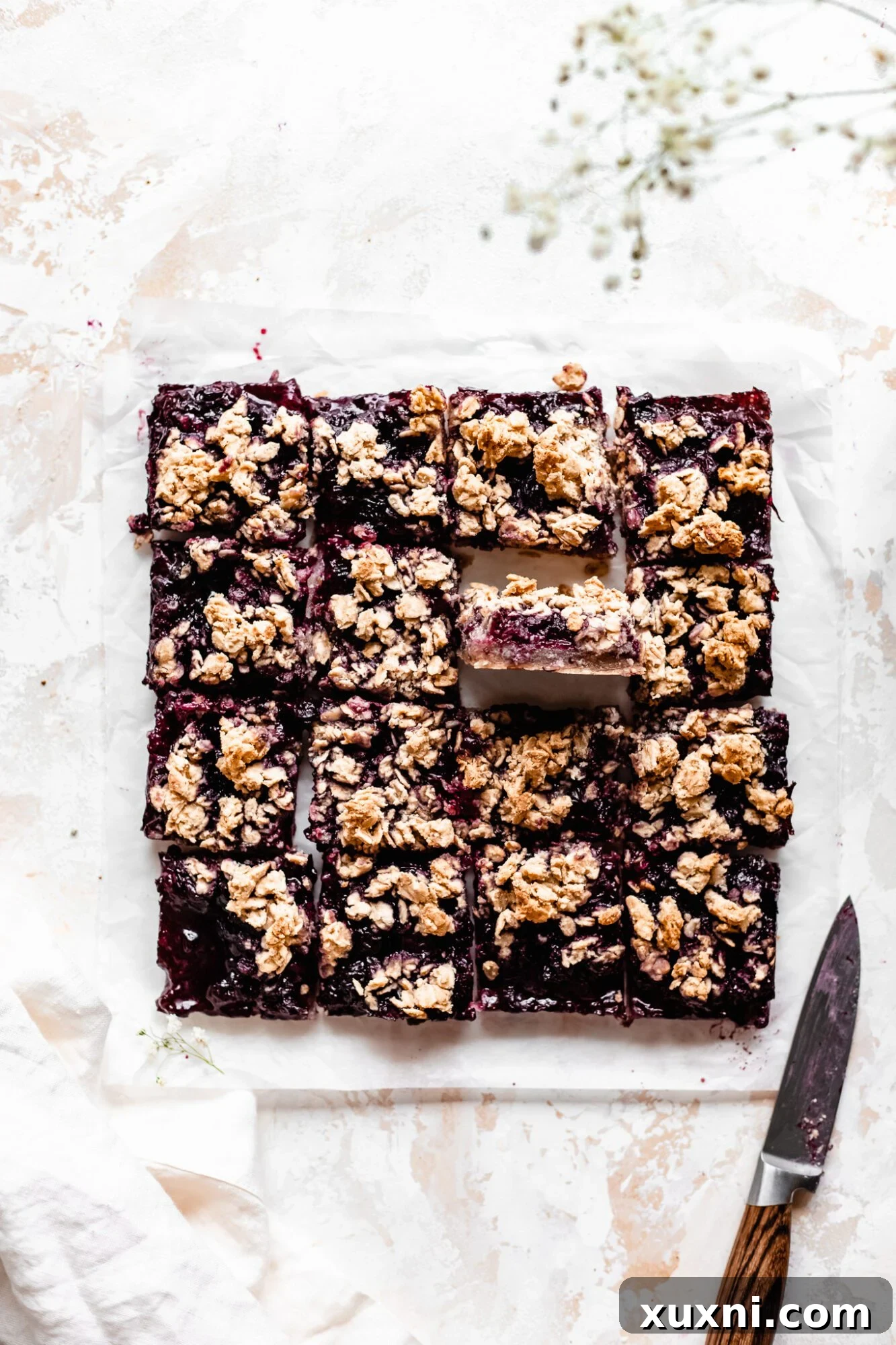 Close-up of perfectly sliced blueberry crumble bars, revealing the layers and inviting texture.