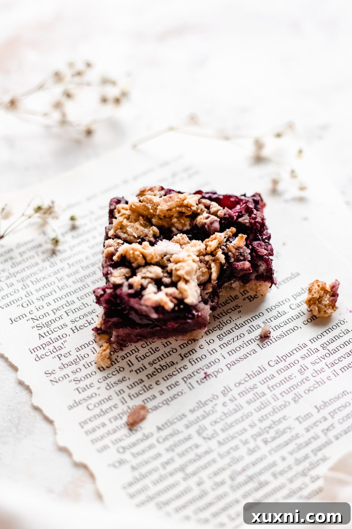 A delicious blueberry pie bar with a bite taken out, perfect for enjoying.