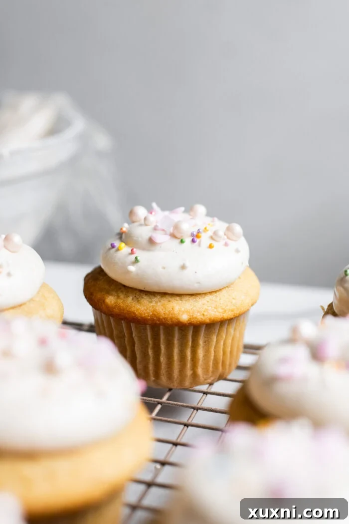 Beautifully frosted vegan vanilla cupcakes, showcasing a professional piping technique