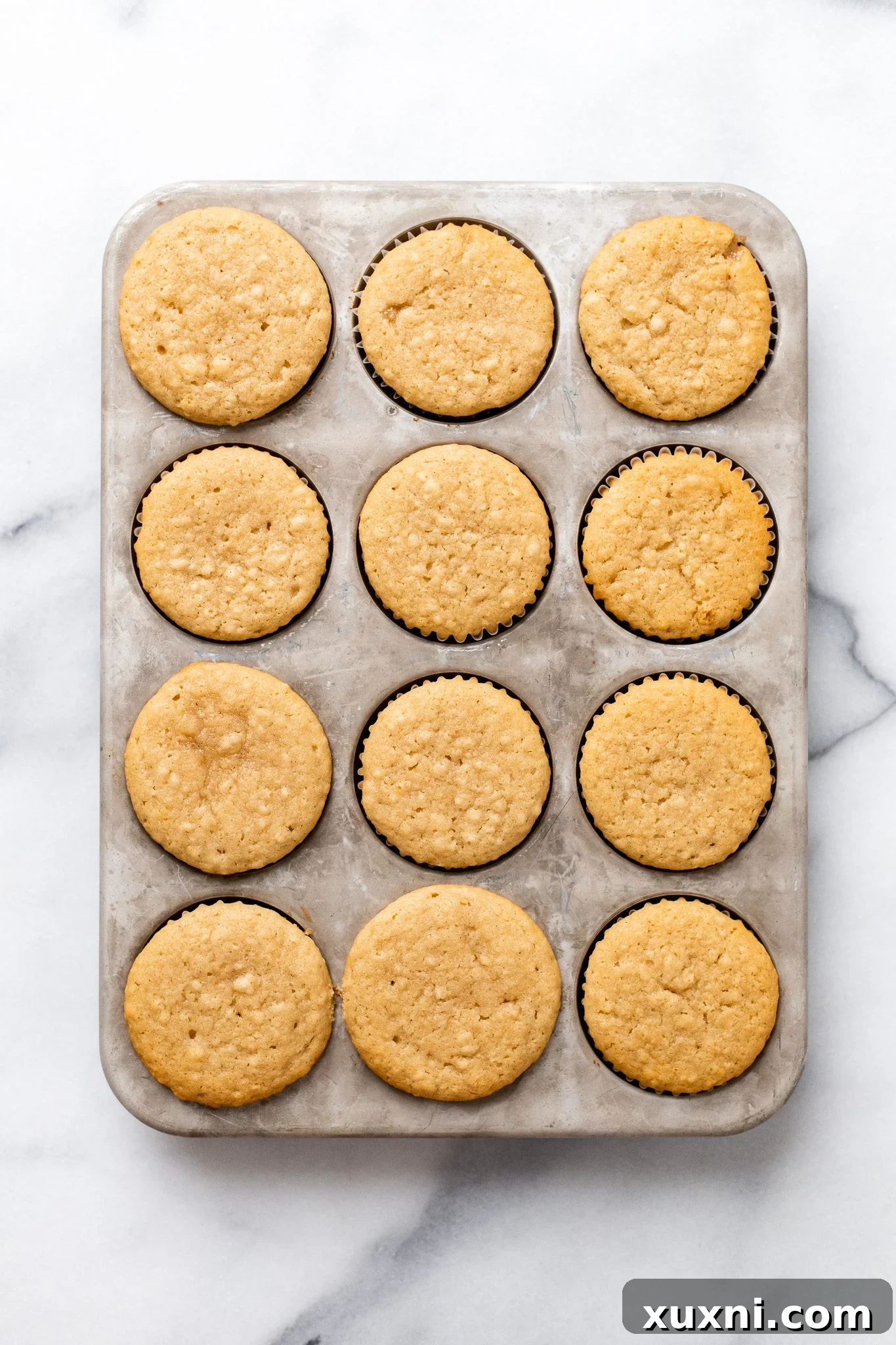 Baked vegan vanilla cupcakes, perfectly risen and golden, cooling in the tin