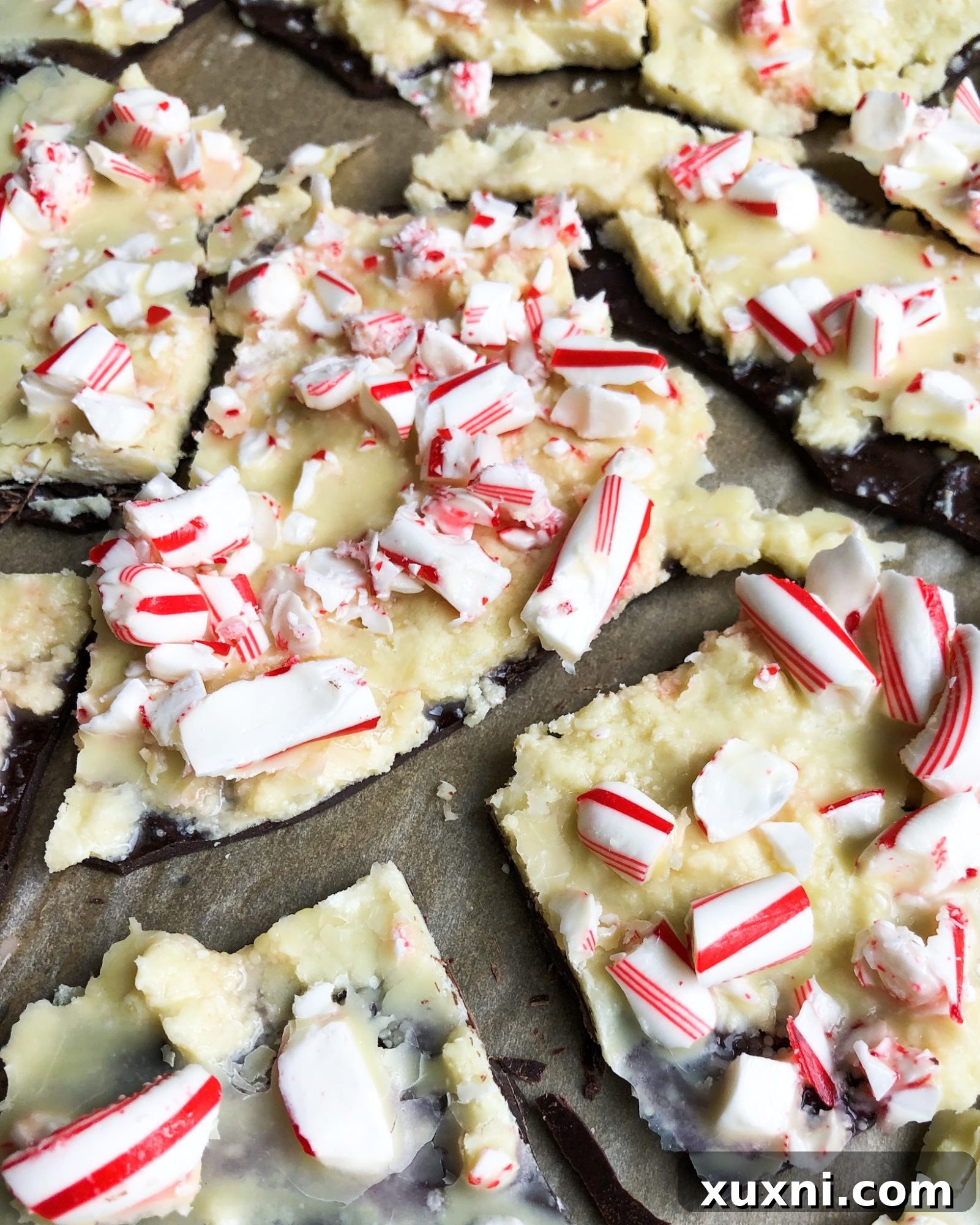 A healthy vegan and paleo peppermint bark made with homemade vegan white chocolate and dark chocolate! The easiest holiday treat everyone will love!