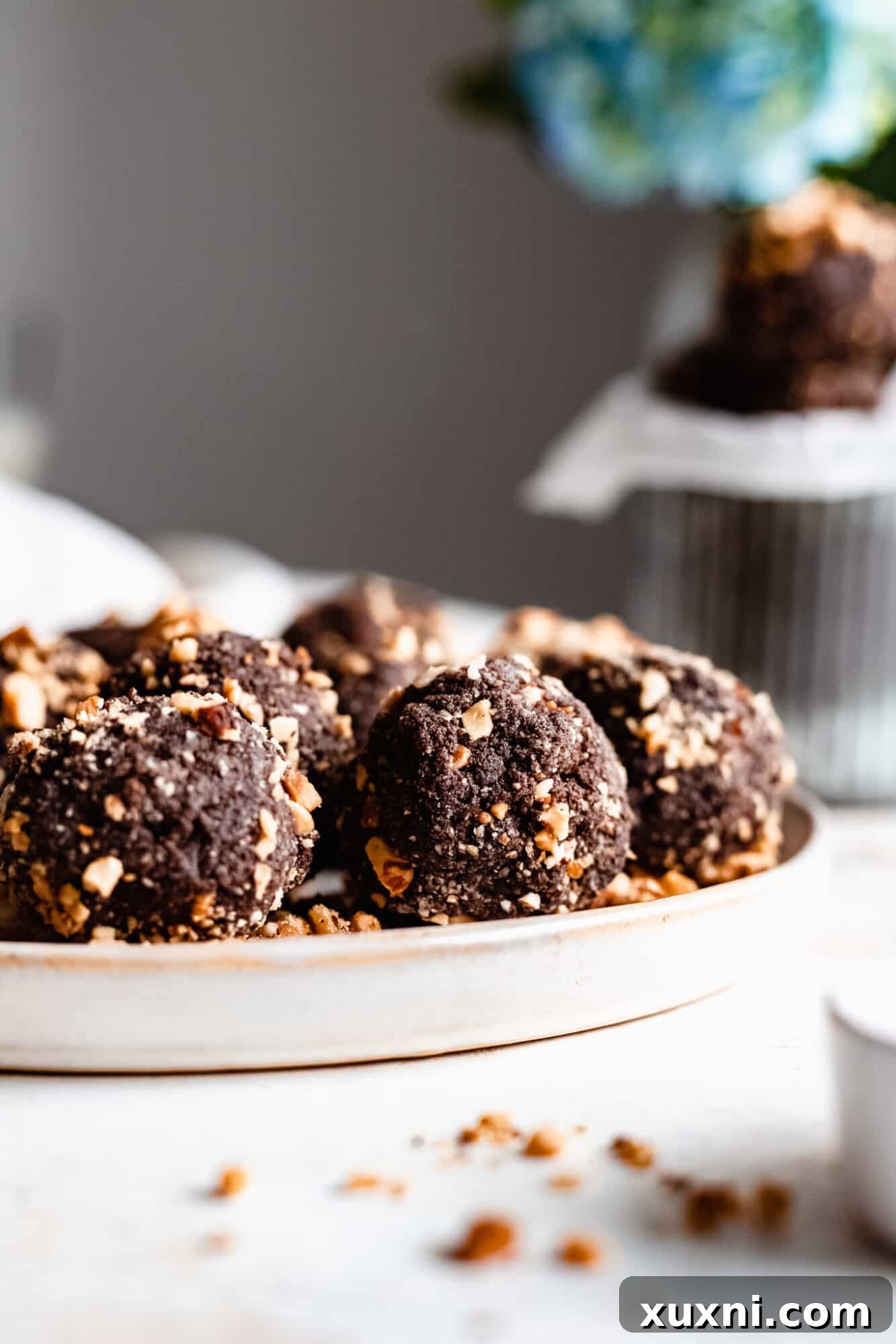 A simple white plate holding an arrangement of chocolate hazelnut energy bites.