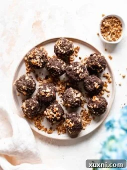 A single chocolate hazelnut energy bite, perfectly round and coated, ready for a delicious snack.