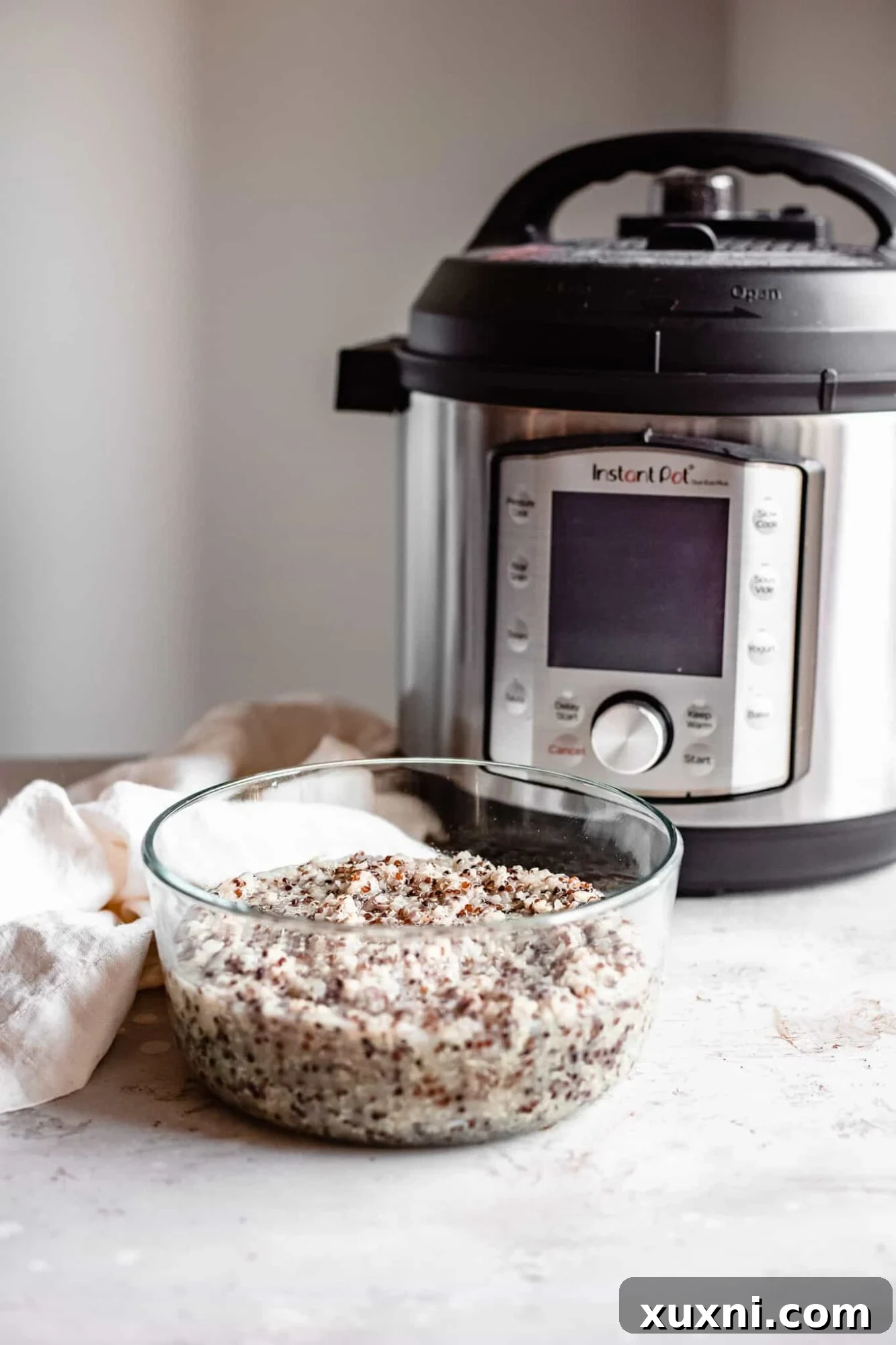 A beautifully arranged bowl of perfectly cooked quinoa, ready for meal prep, beside an Instant Pot.