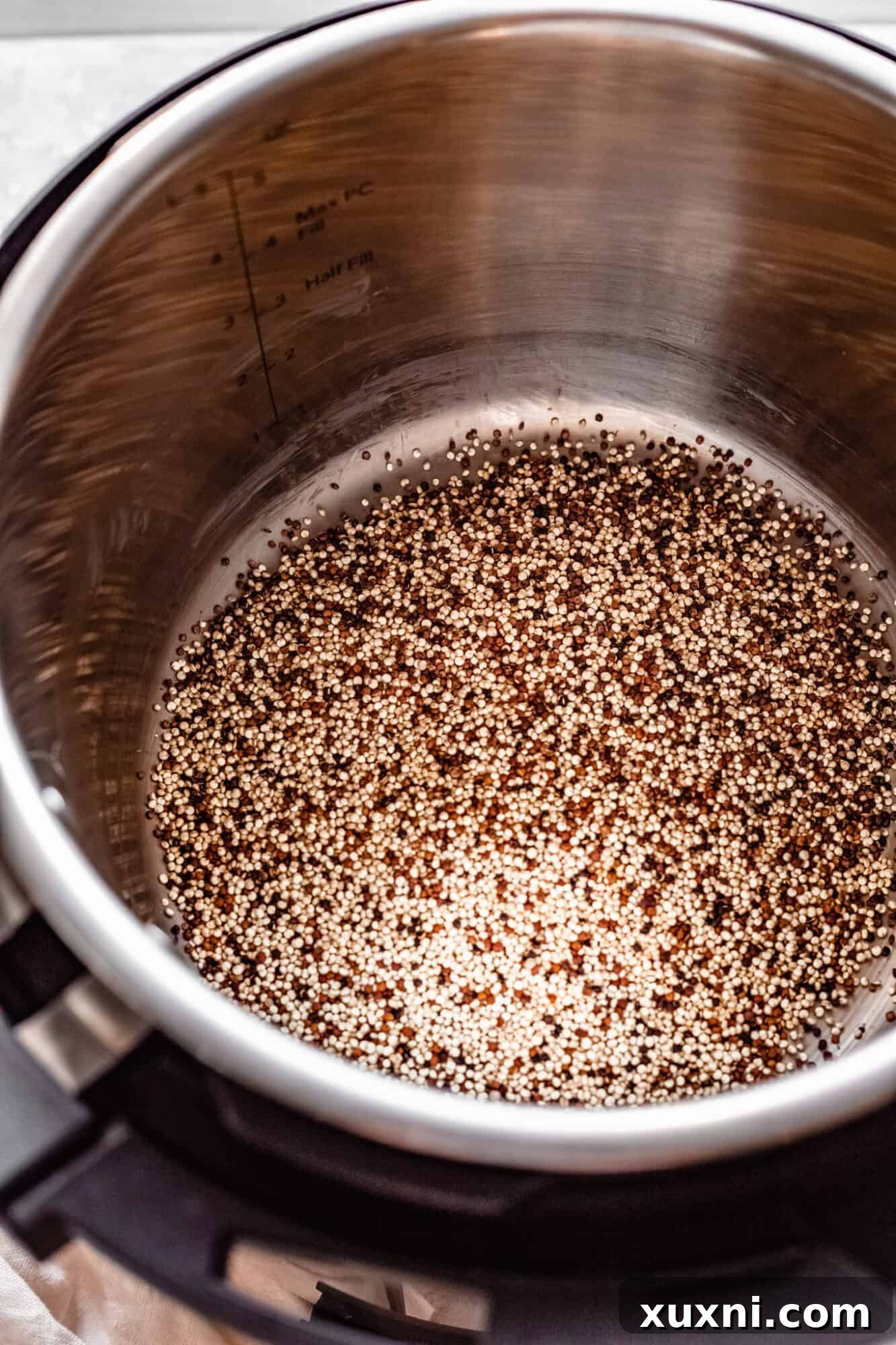 Dry quinoa, water, and sea salt measured and ready in the Instant Pot liner before cooking.