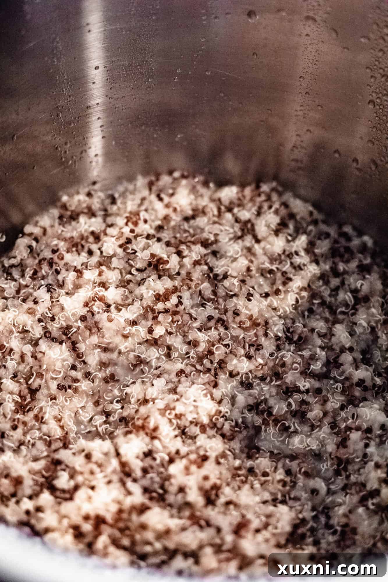 Fluffy, perfectly cooked quinoa in the Instant Pot, freshly steamed and ready to be fluffed.