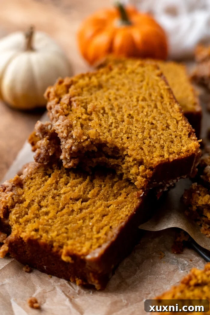 Incredibly Moist Vegan Pumpkin Bread Effortless One-Bowl Recipe 12 A close-up of a bitten slice of vegan pumpkin bread, revealing its soft, moist texture and warm, inviting color.