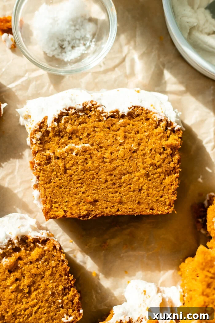 Incredibly Moist Vegan Pumpkin Bread Effortless One-Bowl Recipe 3 A generous slice of fluffy and moist vegan pumpkin bread, showcasing its rich texture and inviting color.