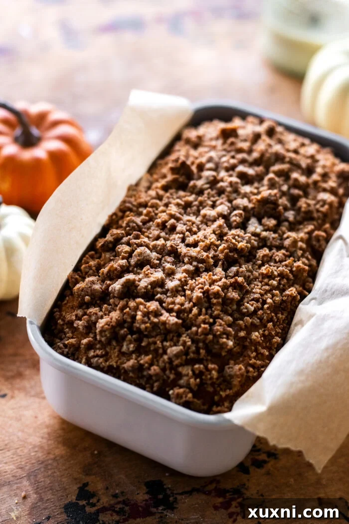Incredibly Moist Vegan Pumpkin Bread Effortless One-Bowl Recipe 8 A baked loaf of vegan pumpkin bread, golden brown and perfectly risen, without streusel topping.