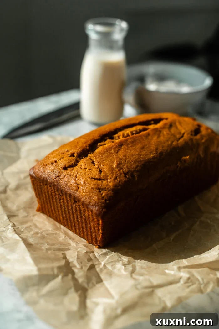 Incredibly Moist Vegan Pumpkin Bread Effortless One-Bowl Recipe 9 A perfectly golden-brown vegan pumpkin bread, fresh from the oven, without any streusel topping.