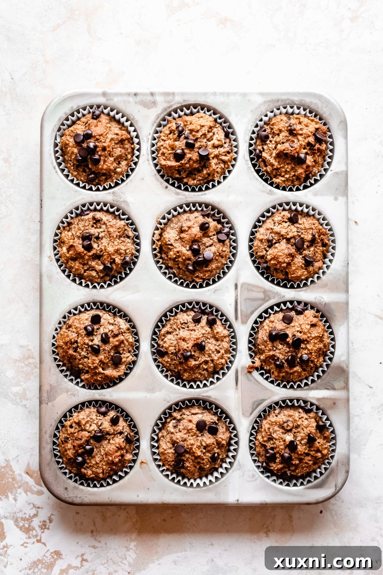 Baked peanut butter chocolate chip muffins fresh from the oven