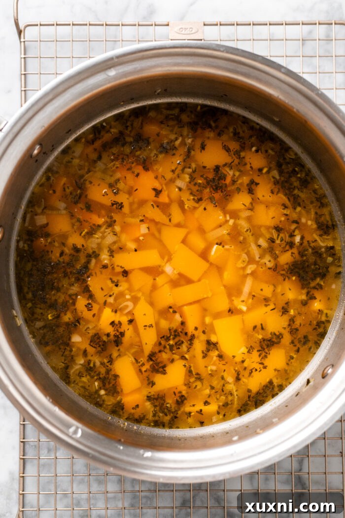 Speedy Silky Vegan Butternut Soup Coconut-Free in 30 Minutes 6 A pot brimming with butternut squash, vegetable broth, cannellini beans, and herbs, simmering before blending into a creamy soup.