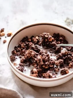 bowl of chocolate granola