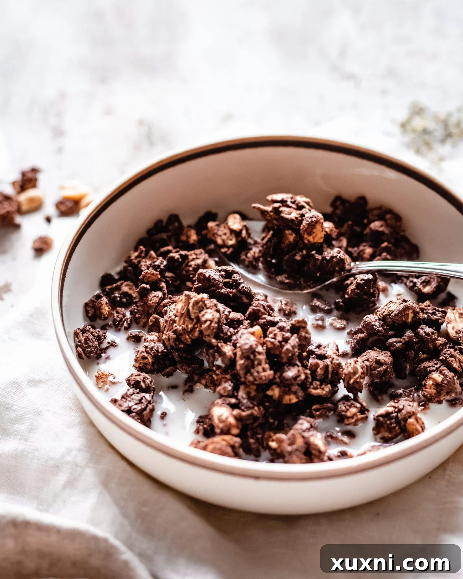 bowl of chocolate granola