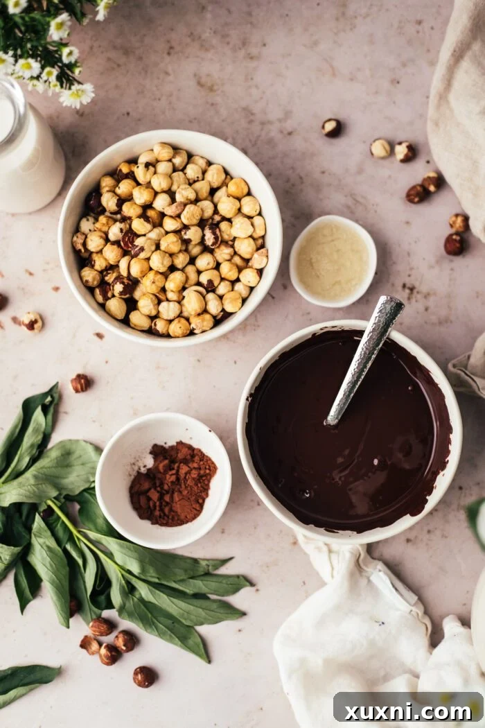 Key ingredients for homemade vegan Nutella laid out: hazelnuts, vegan chocolate, coconut cream, and cocoa powder.