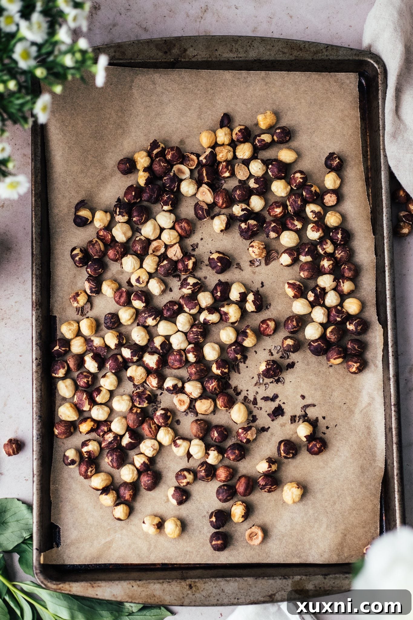 Roasted hazelnuts spread on a baking sheet, cooling after toasting.