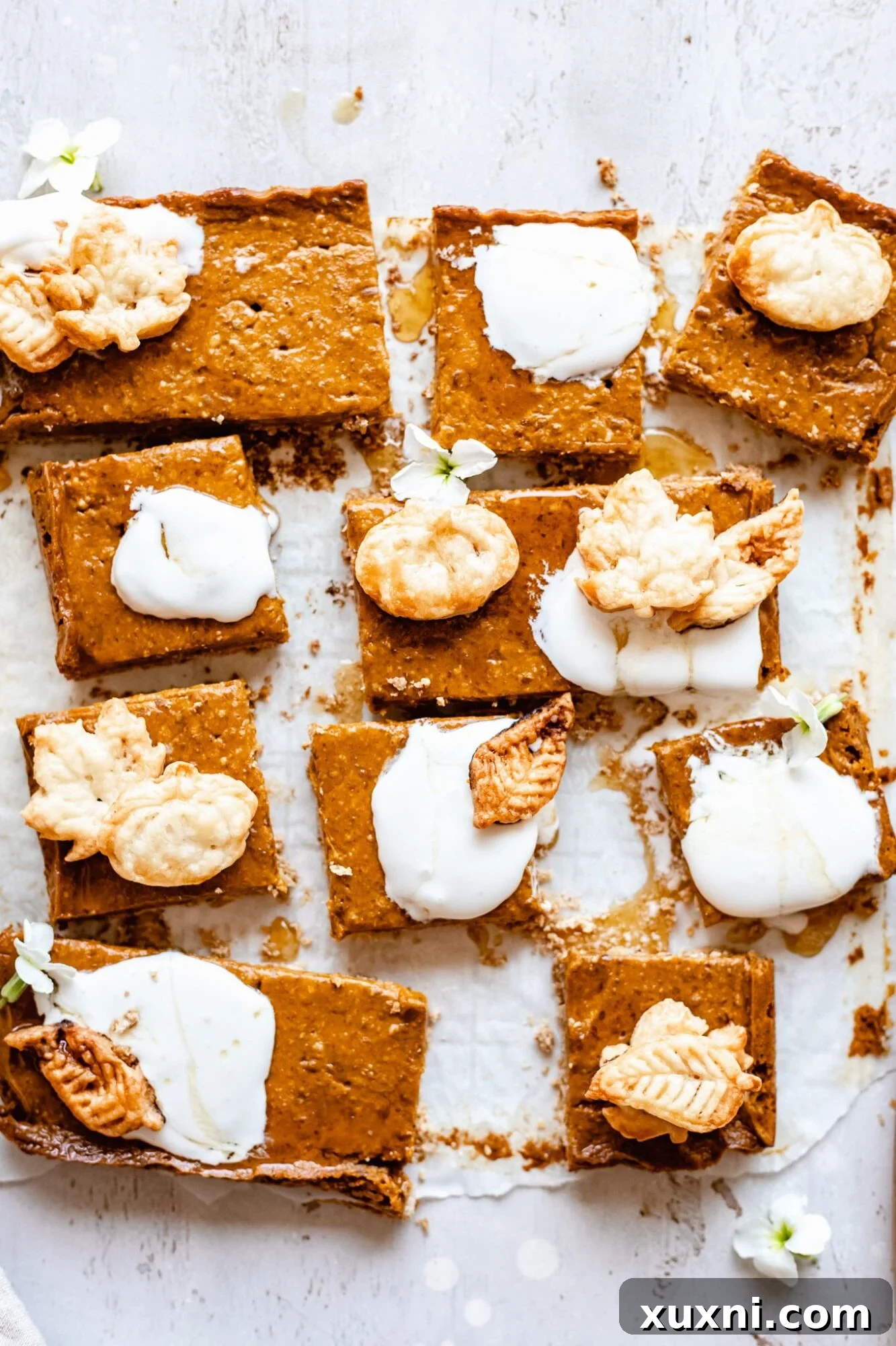 Deliciously sliced vegan pumpkin pie bars, showcasing their smooth texture and golden crust, ready to be enjoyed as a healthy fall dessert.