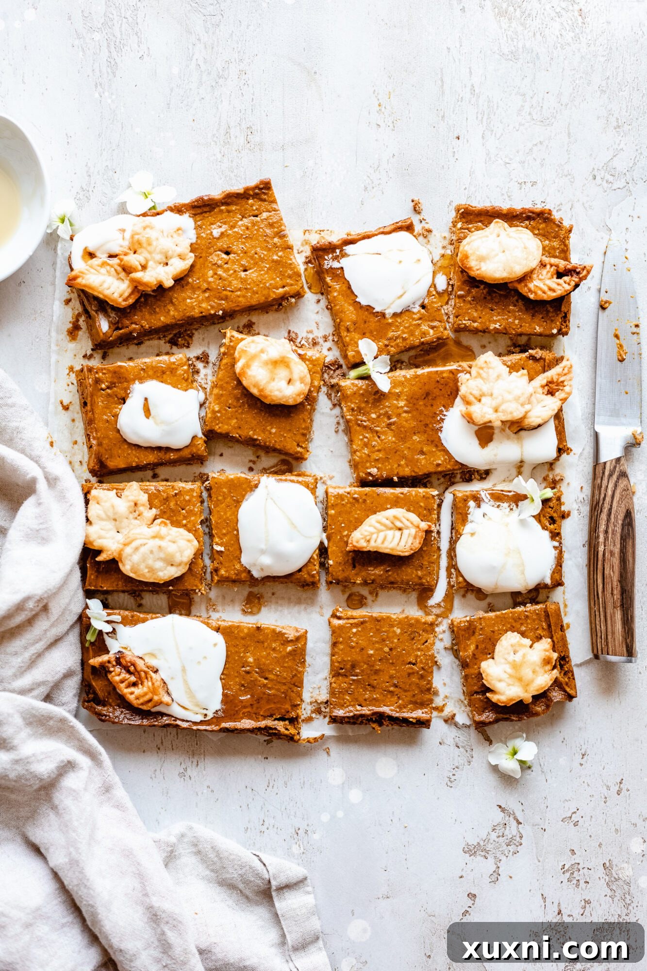 Close-up of perfectly sliced vegan pumpkin bars, showcasing the creamy filling and wholesome crust, a truly healthy fall treat.