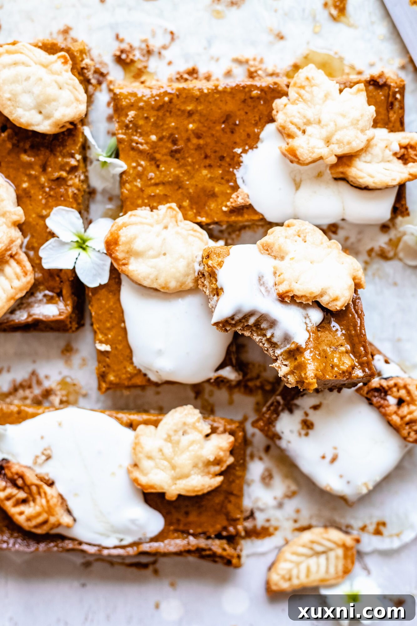 A close-up of a bitten vegan pumpkin pie bar, revealing its perfectly set filling and inviting texture.