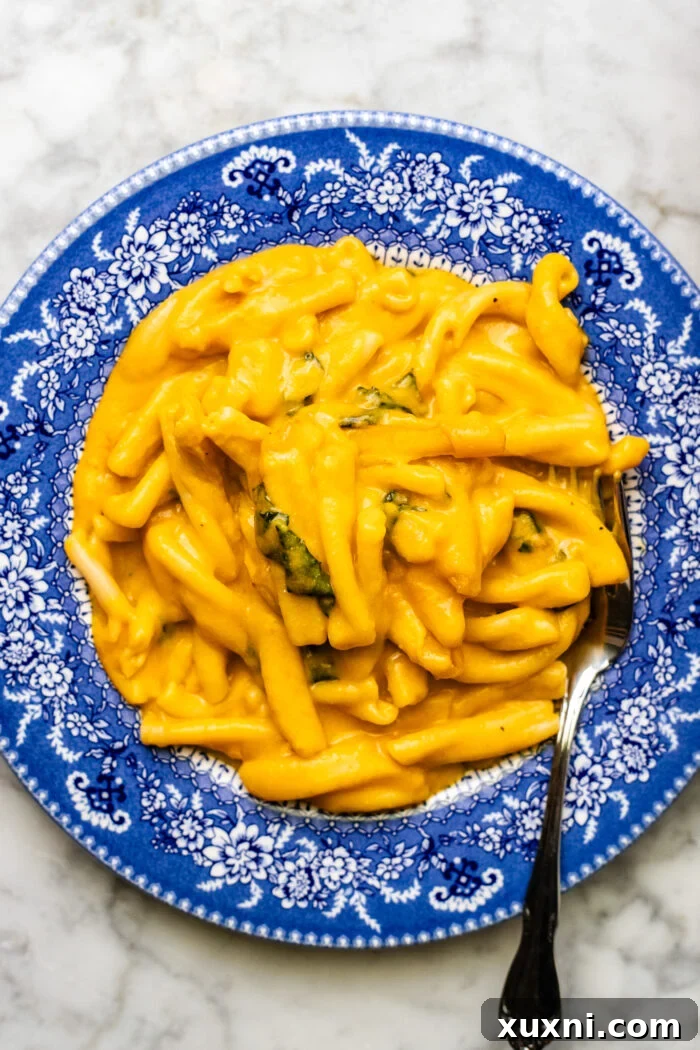 Roasted Butternut Squash Mac and Cheese Dairy Free Delight 2 plate of butternut squash mac and cheese with fresh herbs