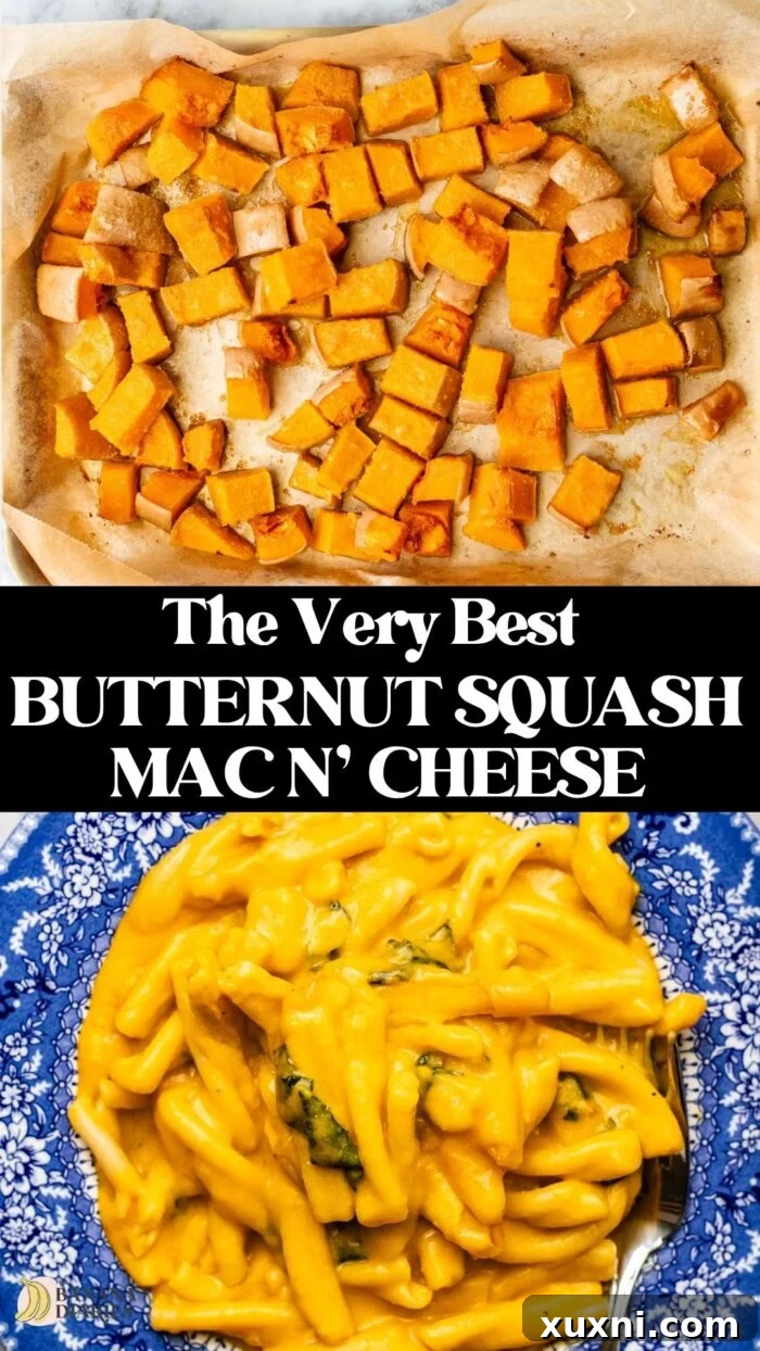 Roasted Butternut Squash Mac and Cheese Dairy Free Delight 11 Simple Roasted Butternut Squash Mac and Cheese Recipe - Dairy Free & Vegan Pinterest Pin