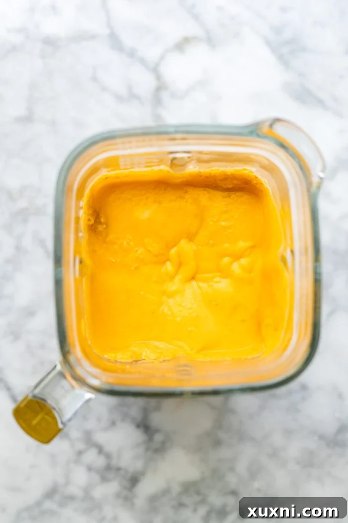 Roasted Butternut Squash Mac and Cheese Dairy Free Delight 6 blended butternut squash puree in a blender