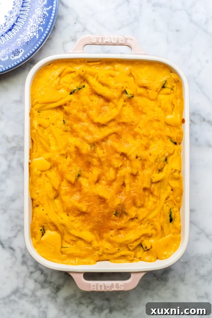 Roasted Butternut Squash Mac and Cheese Dairy Free Delight 10 baked butternut squash mac and cheese in a casserole dish